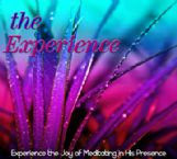 The Experience (Prophetic Soaking CD) by David Baroni and Jeremy Lopez